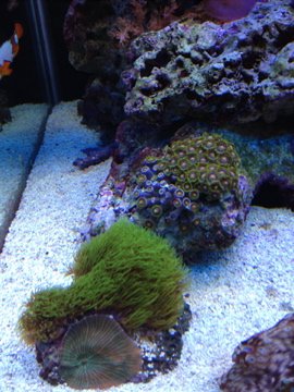 IMG_0142.jpg