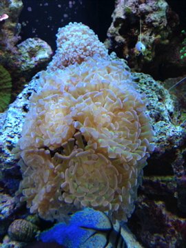 IMG_0143.jpg