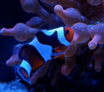 P3220025 (640x570).jpg