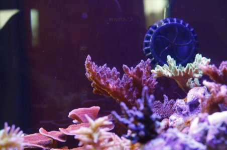_MG_1113.jpg
