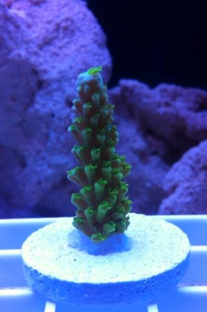 photo-3.jpg