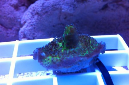 photo-4.jpg