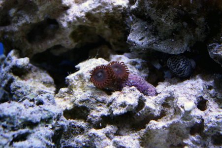 IMG_6707.jpg