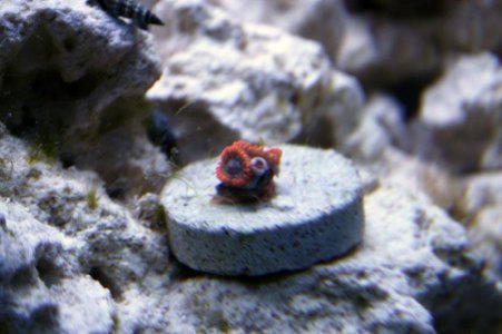 IMG_6710.jpg