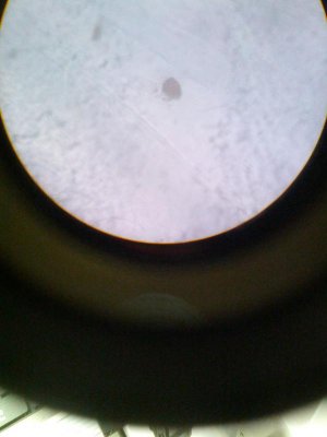 2013-03-24 16.09.09.jpg