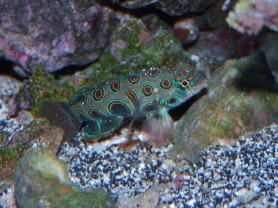 P3050024 (800x599).jpg