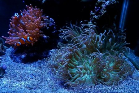 P3240001 (800x536).jpg