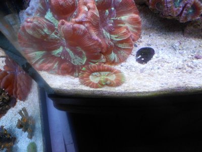 fish fis fish 003.jpg
