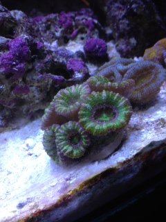photo(13).JPG