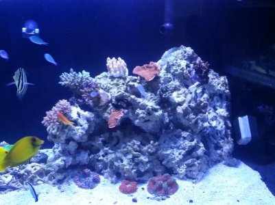 2013-03-06 16.24.57.jpg