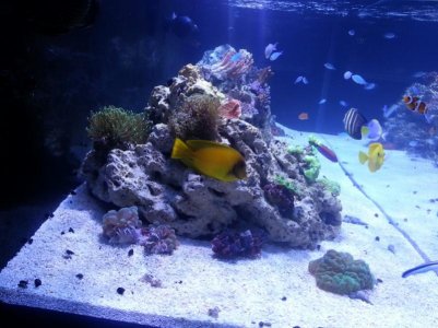 2013-03-06 16.25.30.jpg