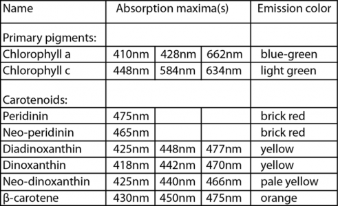 Photosyntheticpigmentsabsorptionmaxima-1.png
