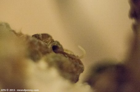 20130308-_DSC1283.jpg
