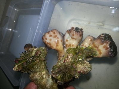 20130326_121222.jpg