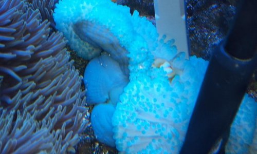 2013-03-06 17.51.35.jpg