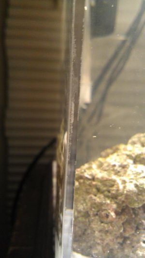 IMAG0204.jpg