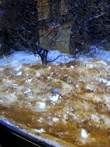 20130328_145140.jpg