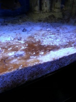 20130328_145148.jpg
