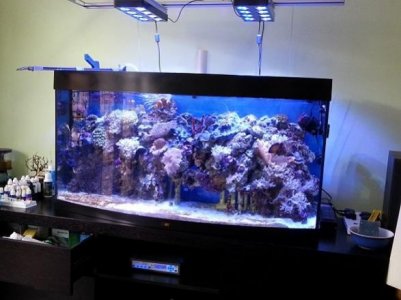 20130328_145423.jpg