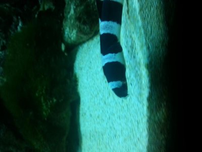 20130328_221810.jpg