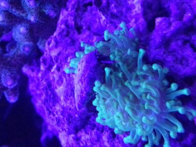 20130327_230807.jpg