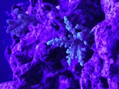 20130325_220911.jpg