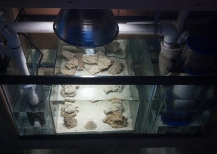 SSEAL%2040%20Sump[1].jpg