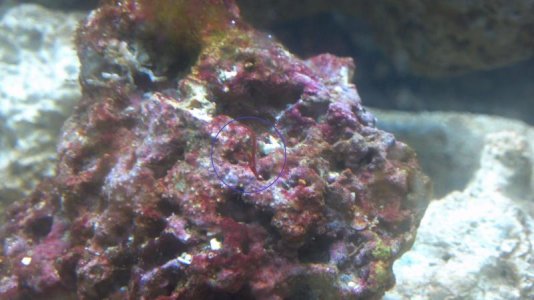 2013-03-12_16-19-31_250.jpg