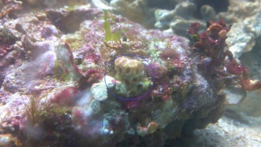 2013-03-12_16-19-50_873.jpg