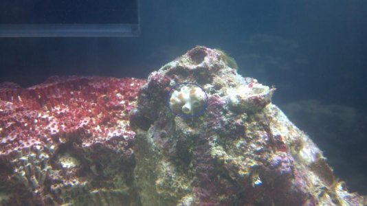 2013-03-12_16-20-05_61.jpg