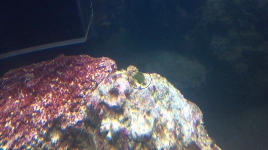 2013-03-12_16-20-22_538.jpg