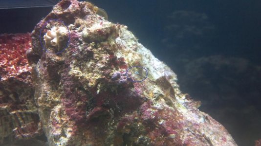 2013-03-12_17-06-45_818.jpg