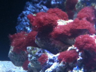 IMG_0101.jpg