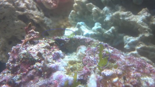 2013-03-12_17-07-25_608.jpg