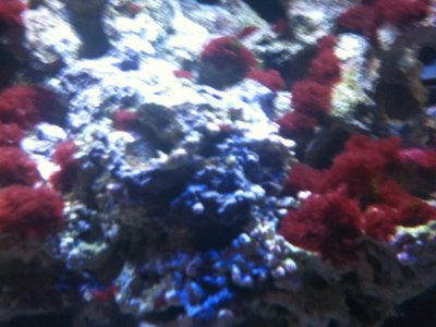 IMG_0108.jpg