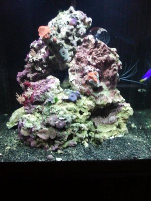 2013-03-29 19.50.57.jpg