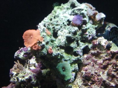 2013-03-29 19.51.26.jpg