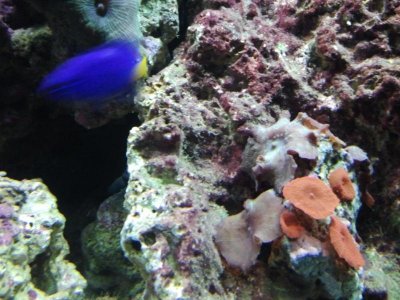 2013-03-29 19.51.43.jpg