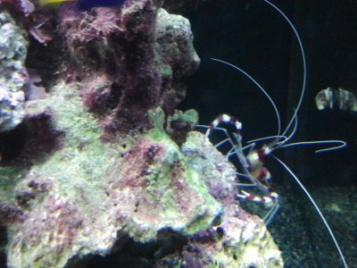 2013-03-29 19.52.46.jpg