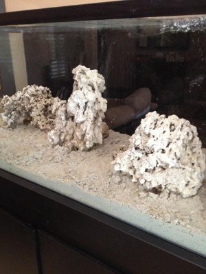 photo (24).jpg