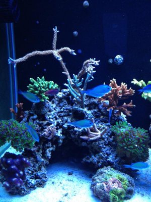 photo (27).jpg