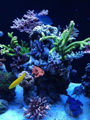 photo (29).jpg