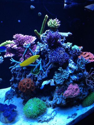 photo (28).jpg