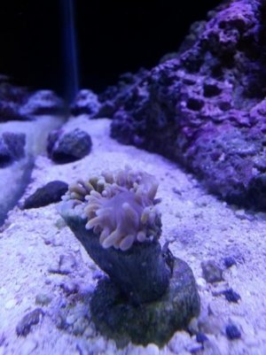 20130401_125811.jpg