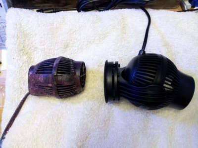 20130402_090820.jpg