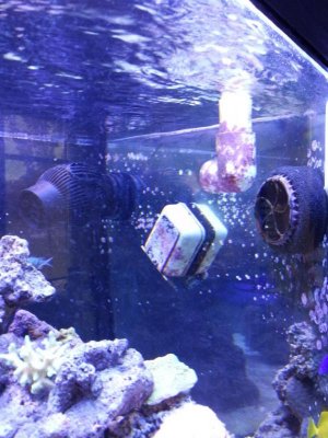 20130402_130124.jpg