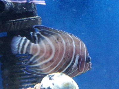 20130402_164835 (1).jpg