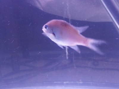 2013-04-02 13.05.40.jpg