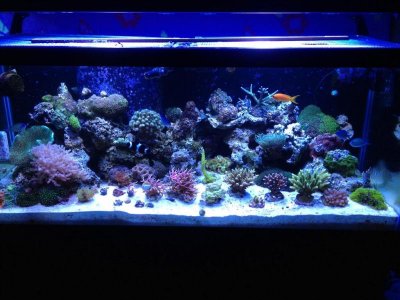 photo 9 (Medium).jpg
