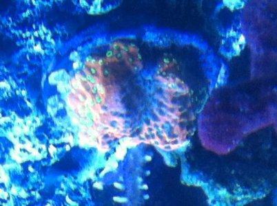 image3.jpg